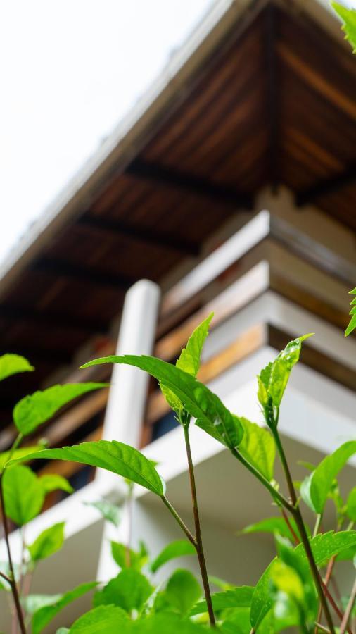 Hotel Luna Llena Tamarindo Dış mekan fotoğraf