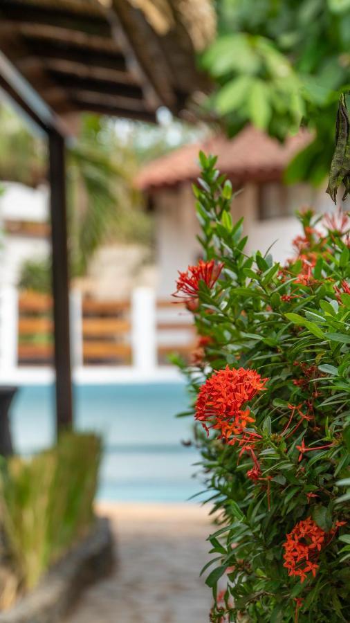Hotel Luna Llena Tamarindo Dış mekan fotoğraf